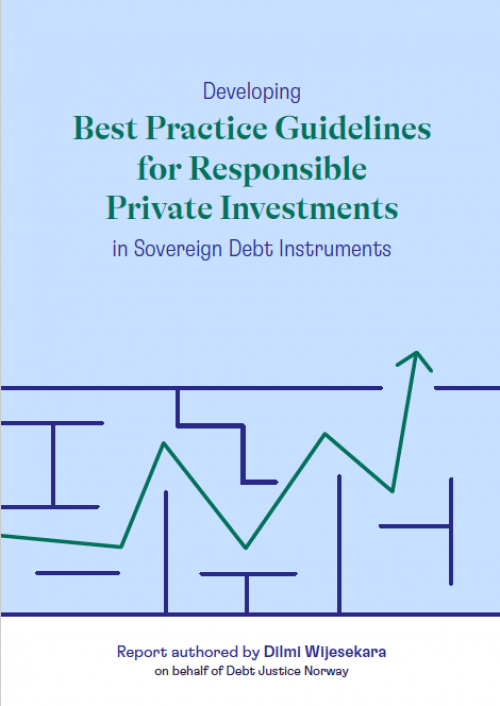 Developing Best Practice Guidelines for Responsible Private Investments in Sovereign Debt Instruments: Appendix
